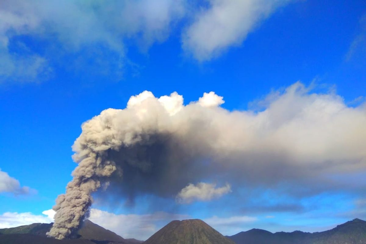 Meski erupsi, Gunung Bromo tetap aman dikunjungi