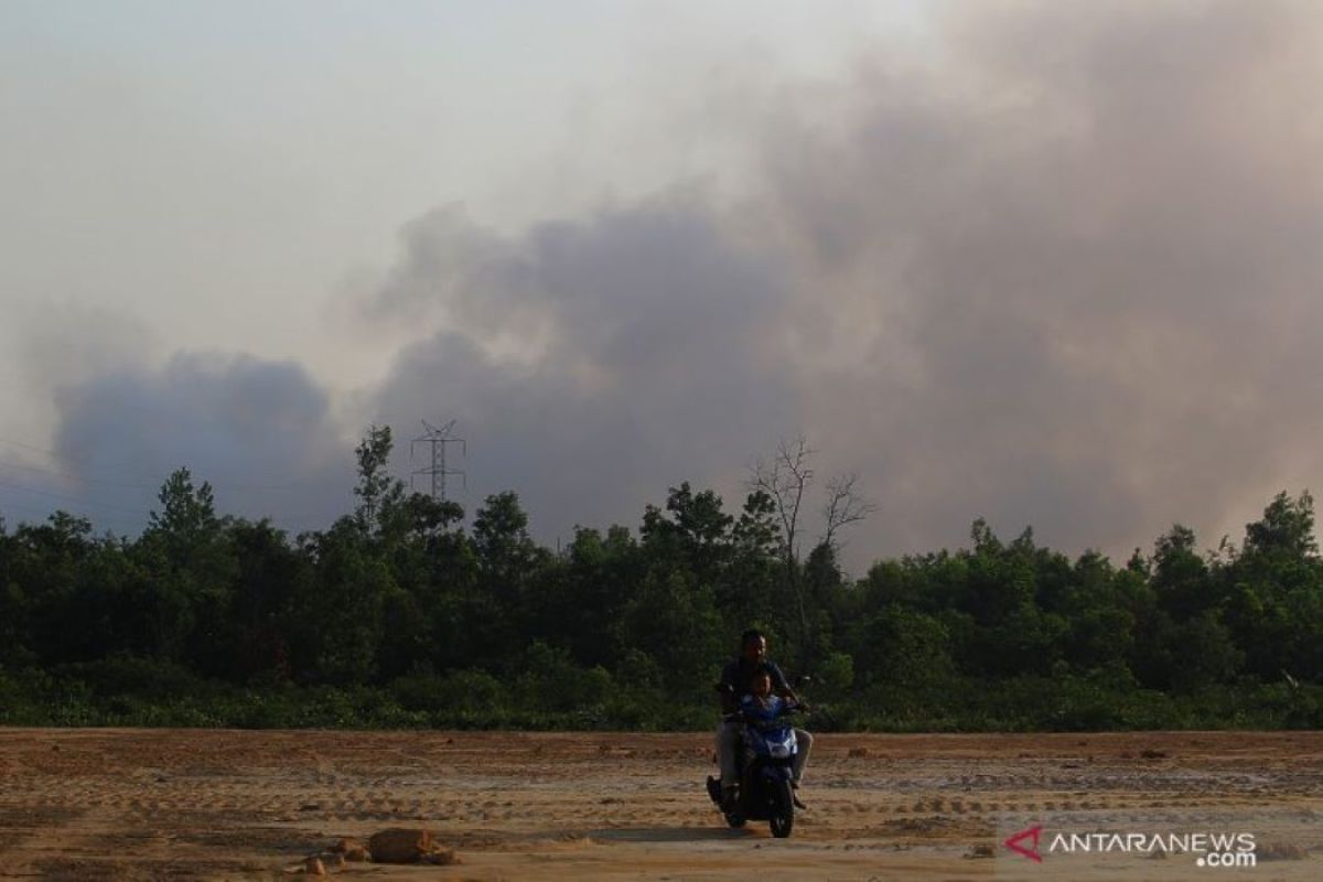 Kota Dumai diselimuti asap pekat akibat Karhutla