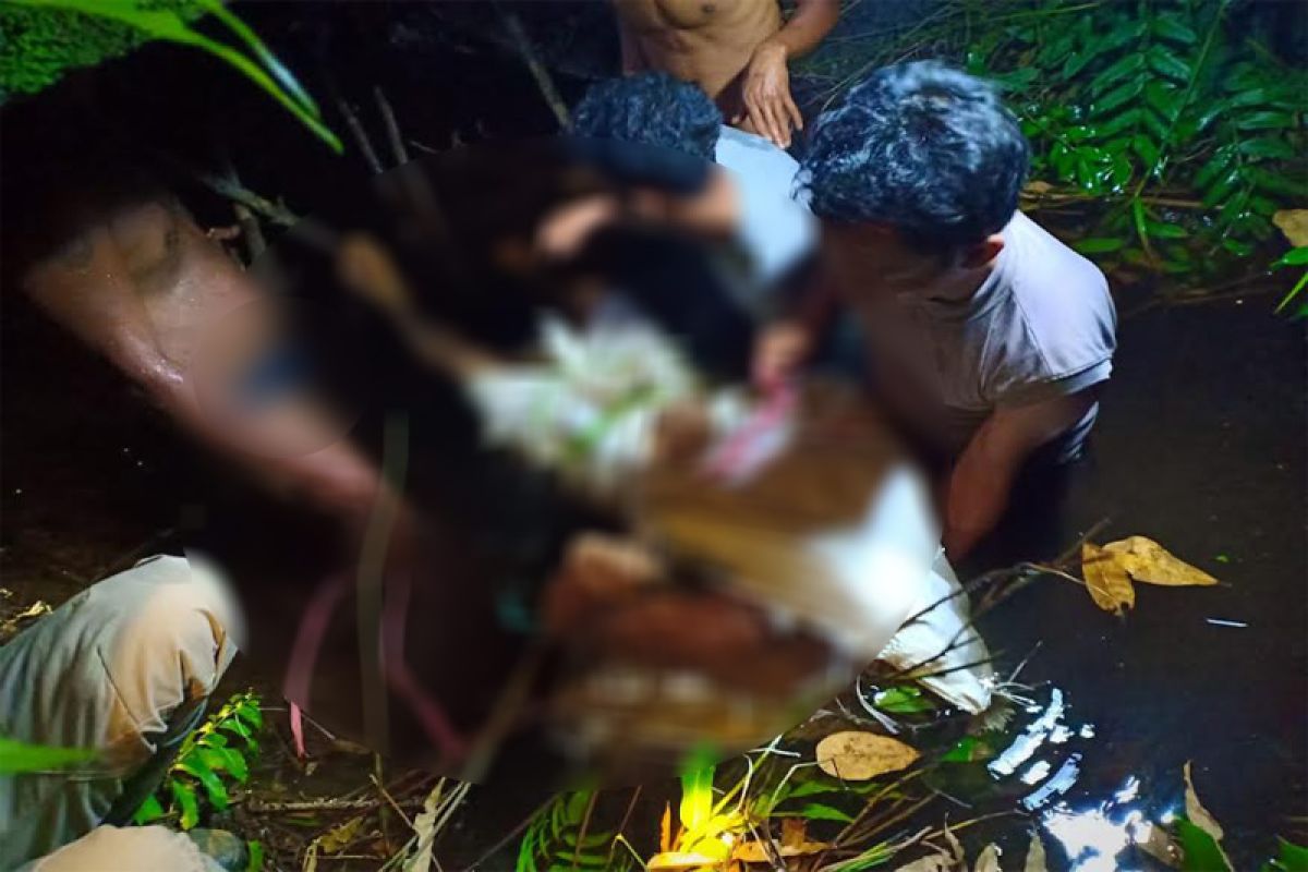 Operator Unit listrik desa di Pulang Pisau tewas, polisi selidiki penyebabnya