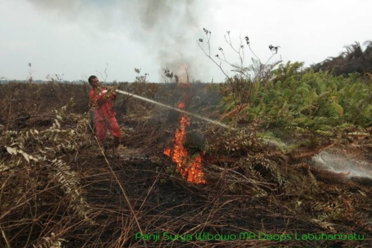 Antisipasi dampak kemarau, Manggala Agni Labuhanbatu siagakan 6 posko Karhutla