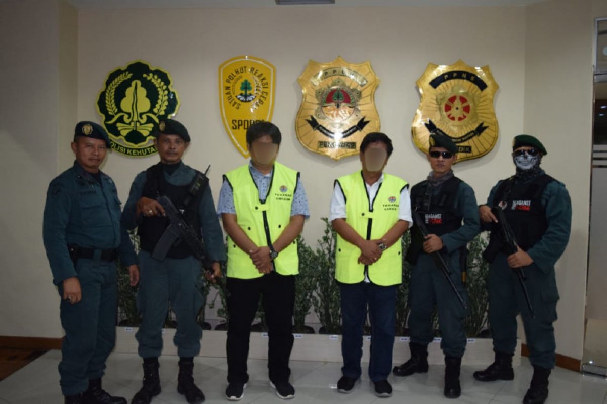 Three bosses of illegal timber named suspects by KLHK