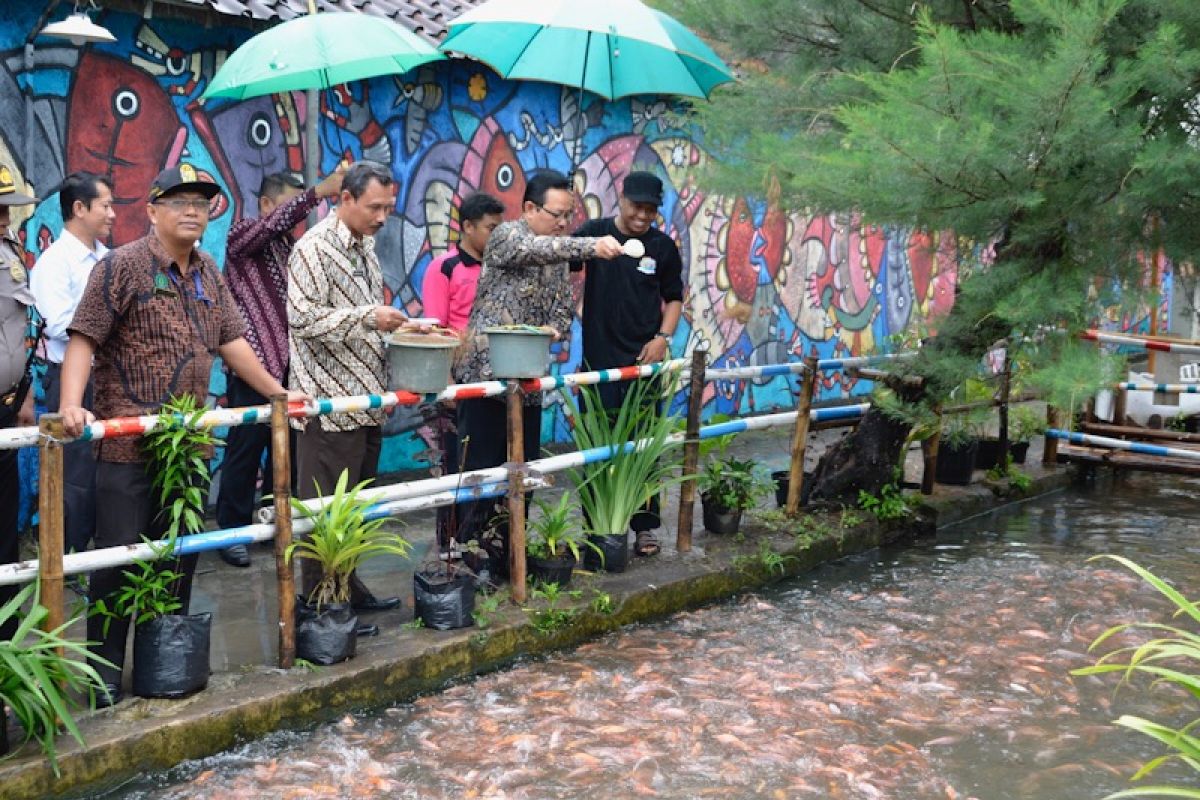 Warga Kampung Dukuh Yogyakarta sulap selokan menjadi kolam ikan