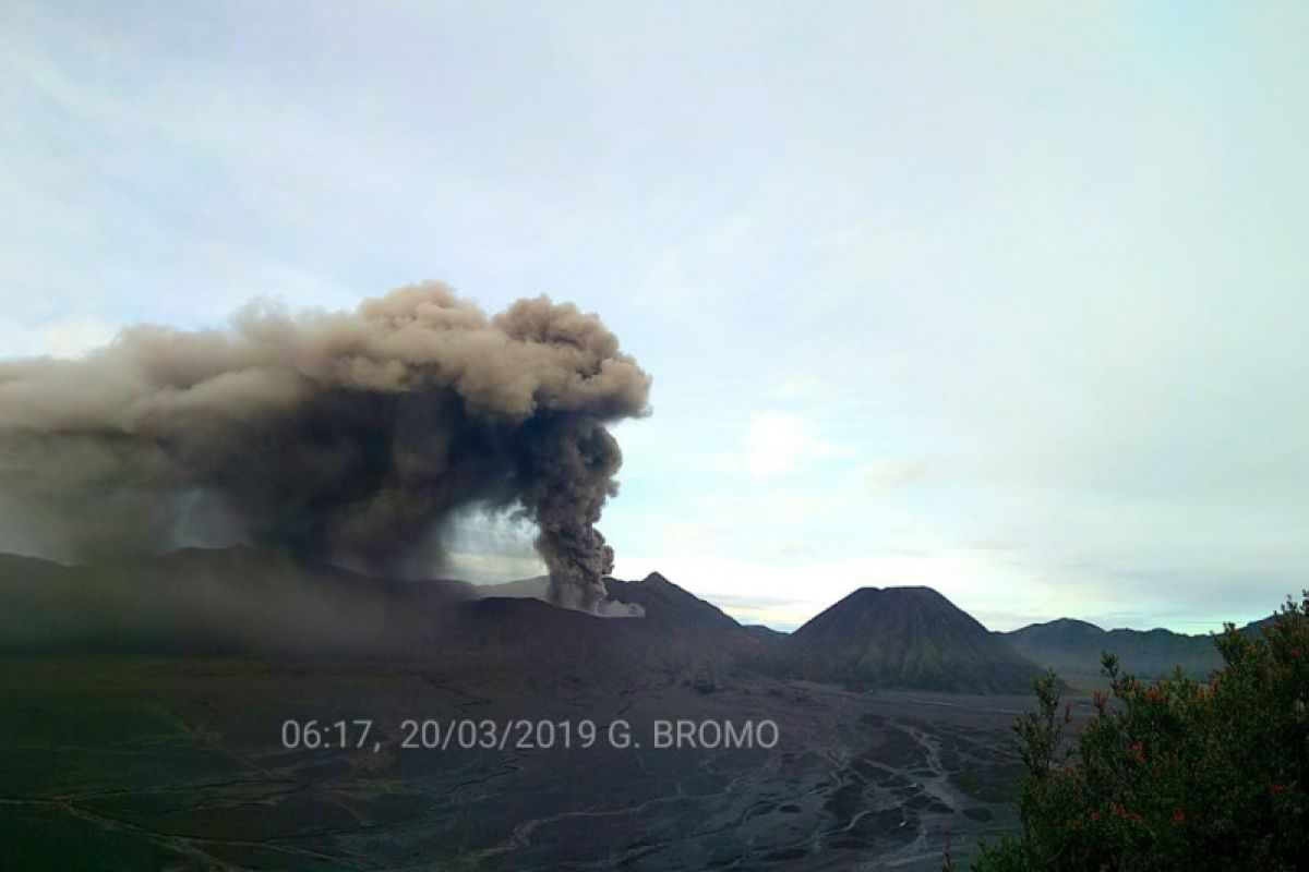 PVMBG: Suara gemuruh terdengar dari kawah Gunung Bromo