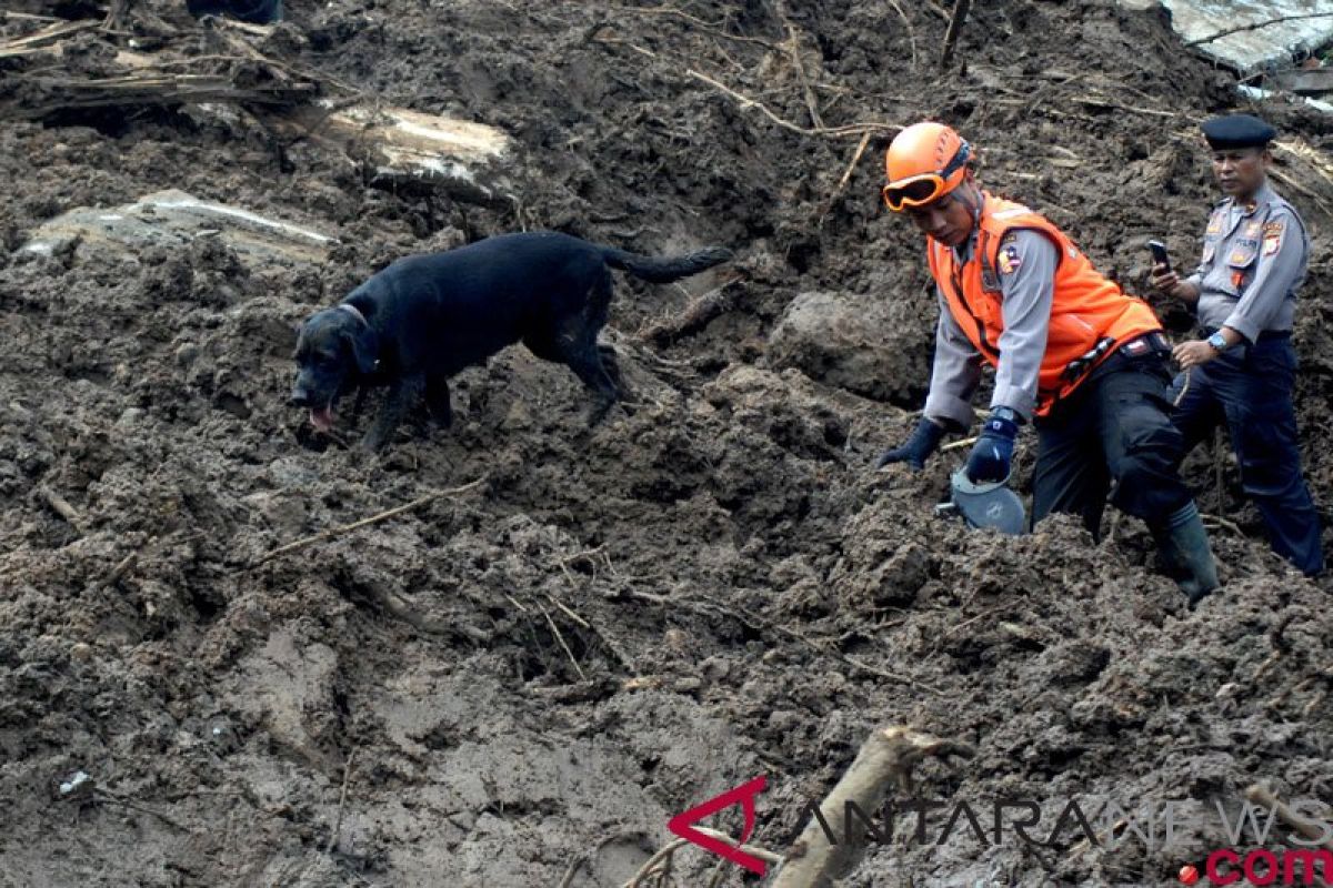 Dibantu Anjing Pelacak, 15 Korban Banjir Ditemukan Lagi