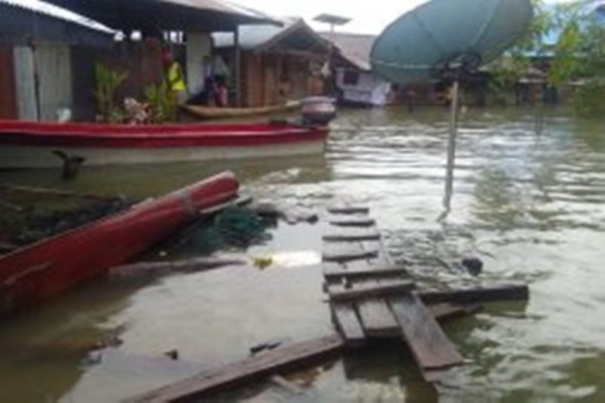 25 kampung terendam akibat luapan air Danau Sentani