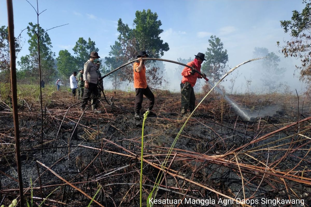 Puluhan hektare lahan gambut di Singkawang terbakar