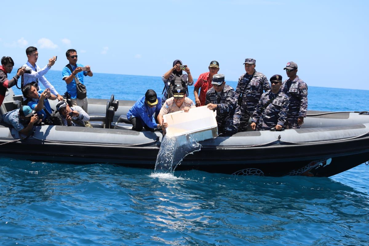 Patroli gabungan TNI dan Polri gagalkan penyelundup benih lobster di perairan Nipah