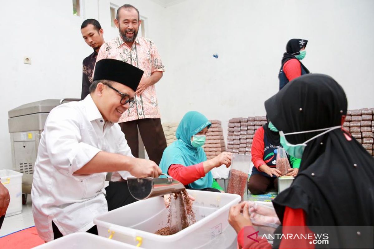 Pemkab Banyuwangi ingin pemasaran beras organik tembus AS dan Jerman