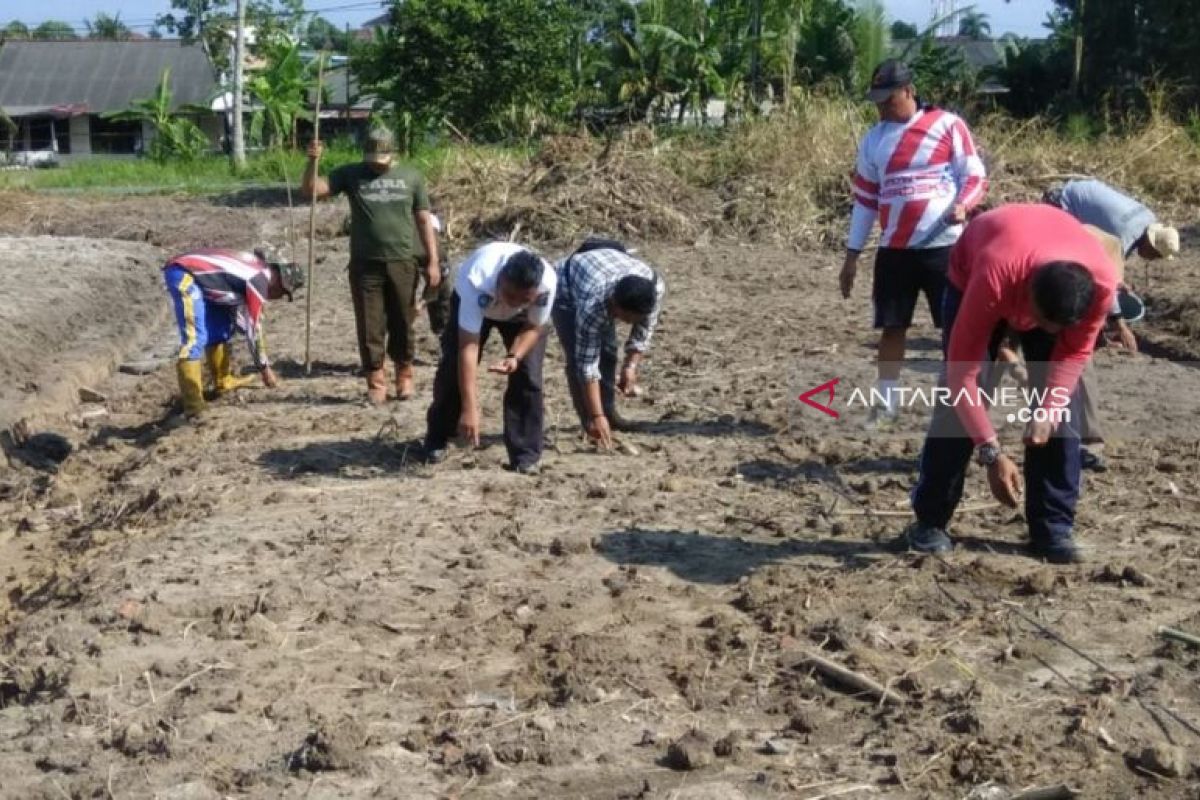 Pemprov Babel gandeng Subdenpom II/4-2 Bangka tanam shorgum