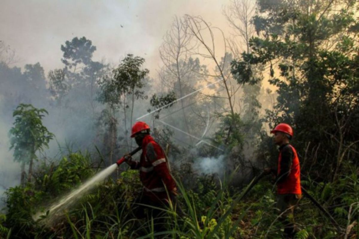 Jumlah titik panas di Riau turun drastis
