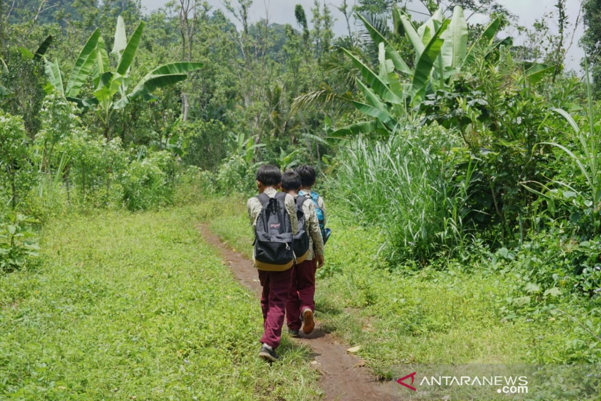 Bocah Selagolong lintasi hutan belantara demi sekolah