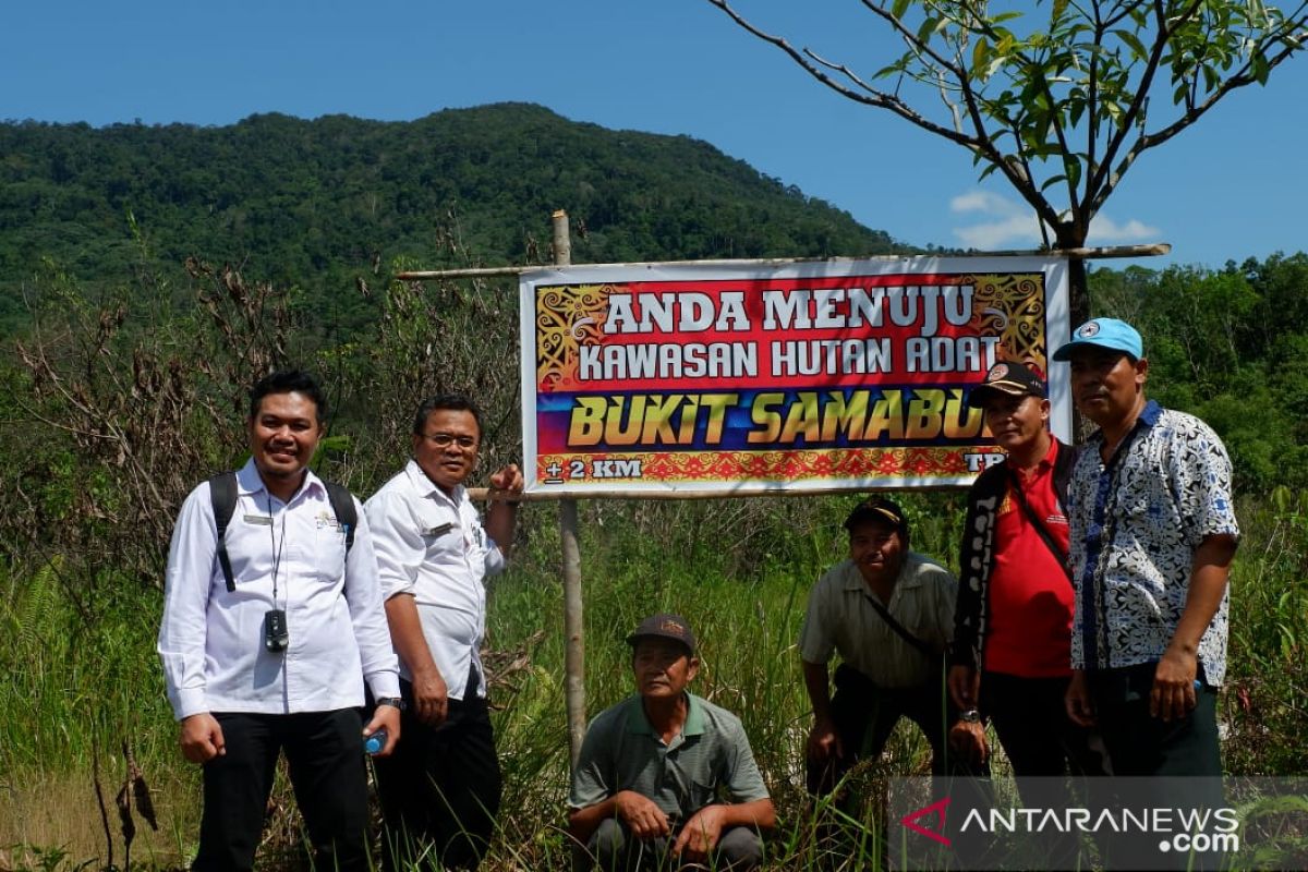 Presiden Joko Widodo serahkan dua SK penetapan hutan adat di Landak