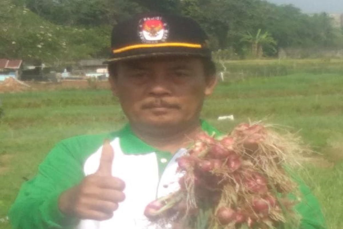 Bawang Merah Jadi Komoditas Primadona Baru Petani Lampung Timur