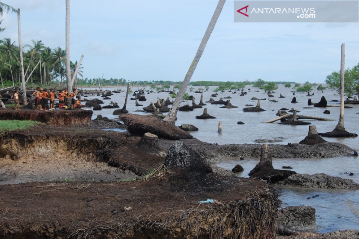 Atasi abrasi, Pemkab Bengkalis usulkan anggaran Rp 233 miliar