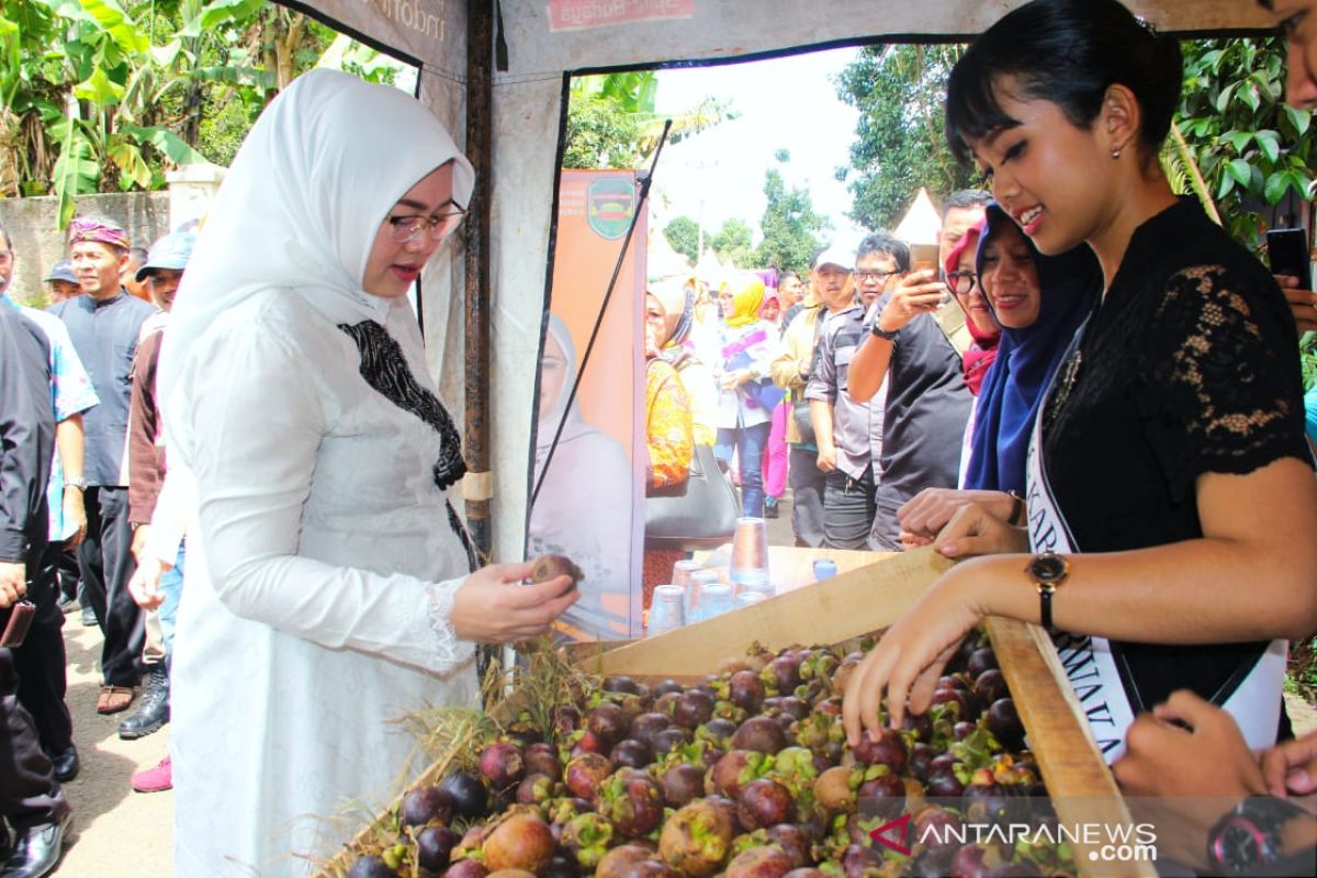 Pengunjung Padati Festival Manggis Purwakarta