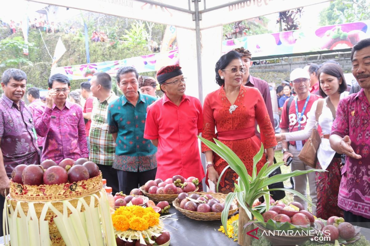 Gubernur Bali rancang festival agro tahunan