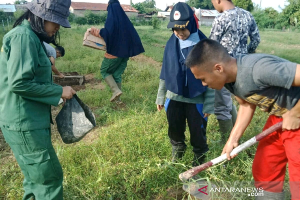 Calon petani millenial lakukan pemupukan dasar tanaman pelindung