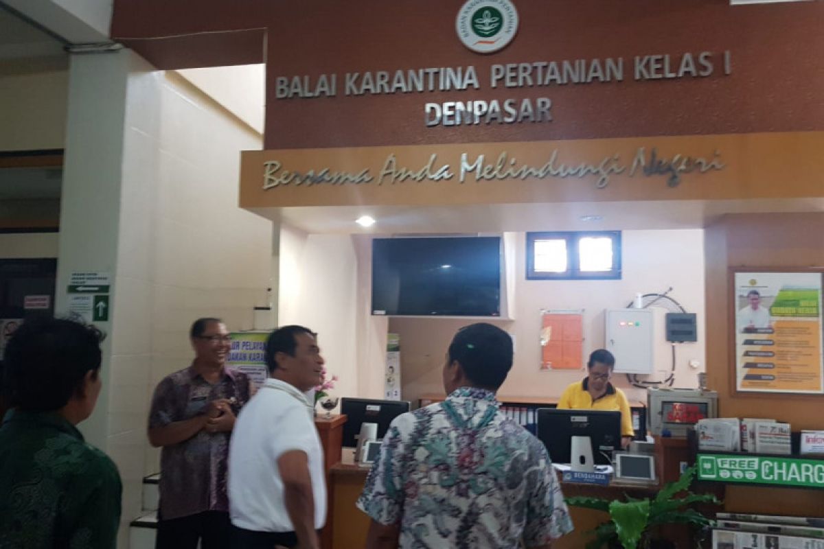 Balai Karantina cegah makanan berbahan babi masuk Bali