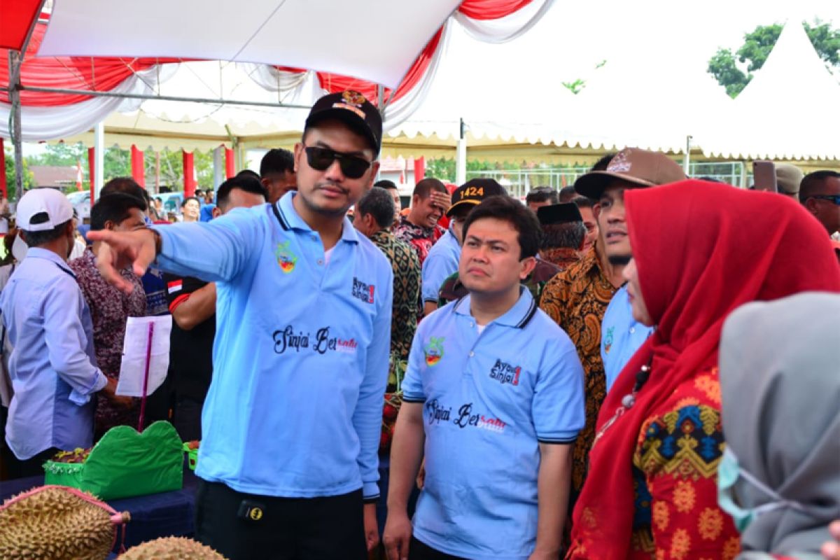 Bupati kunjungi Festival Buah Sinjai 2019
