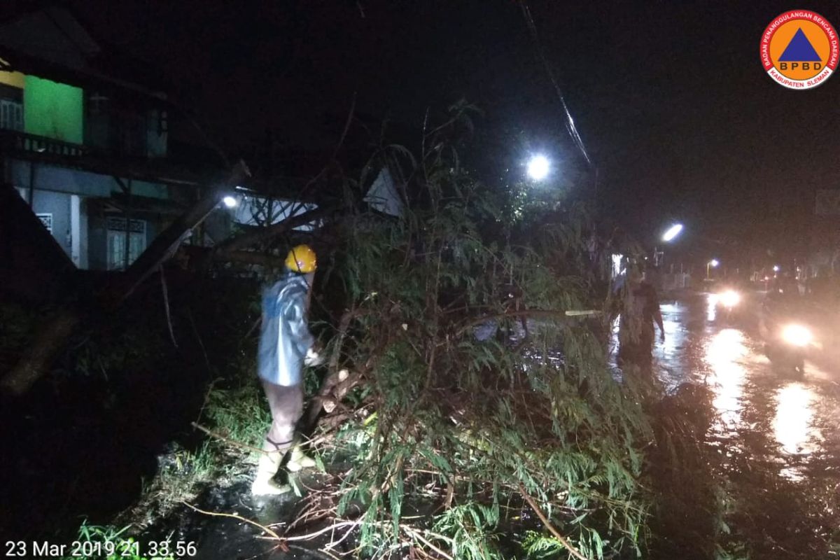 Satu meninggal akibat angin kencang di Kota Batu