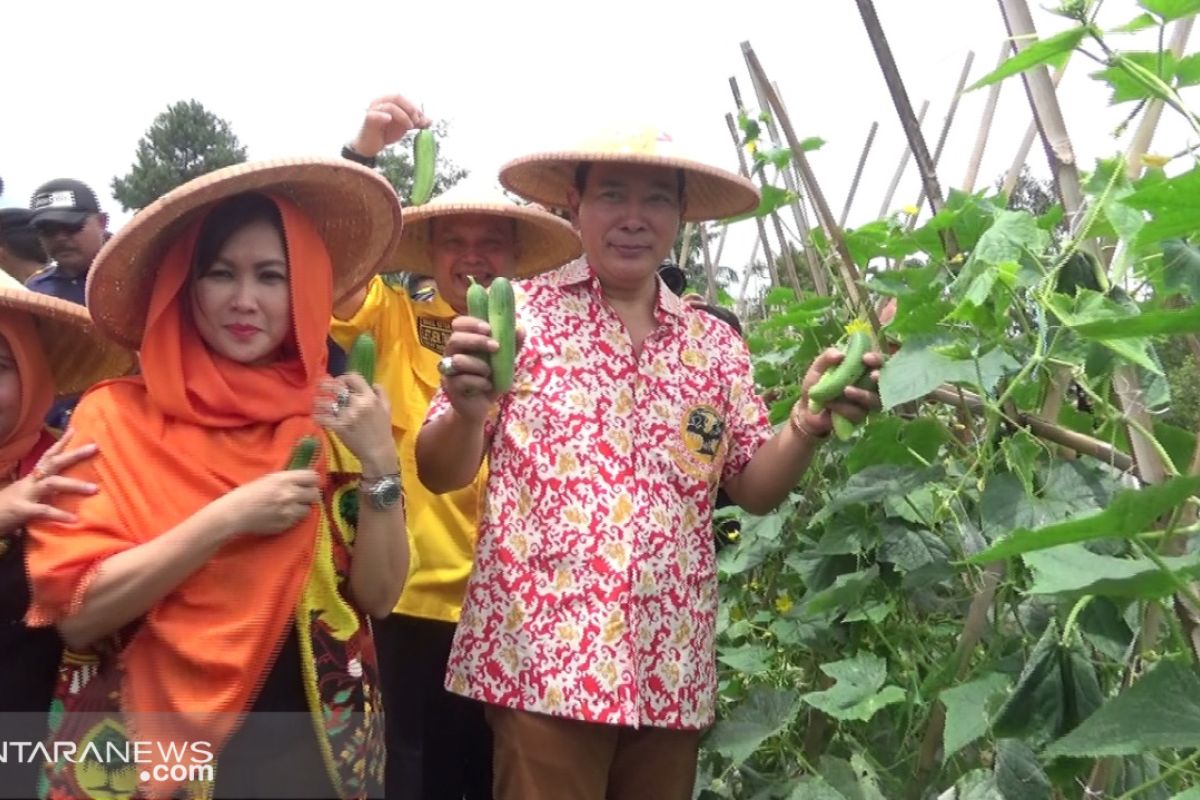 Tommy Soeharto ingin mengembalikan kejayaan pertanian dan peternakan