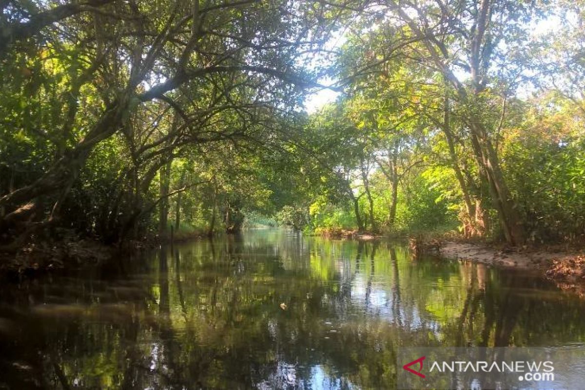 Pecinta sungai  GMSS sebut SKM sepotong surga Samarinda