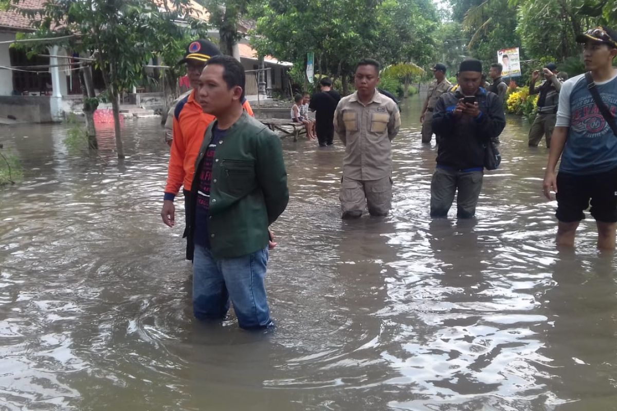 Bupati Lumajang tinjau banjir di Rowokangkung