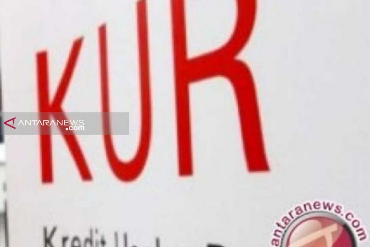 Realisasi KUR peternakan 2019 capai Rp3,42 triliun