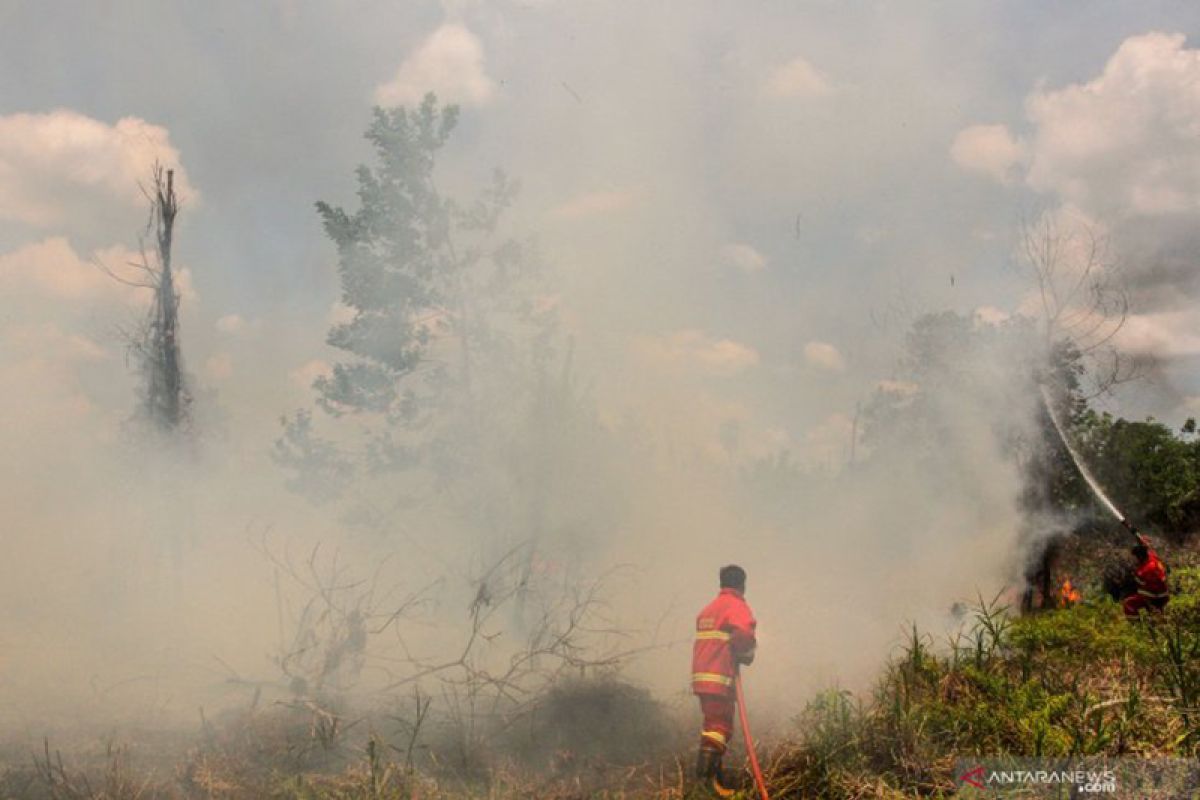 BRG kucurkan Rp1,3 miliar tanggulangi Karhutla di Riau