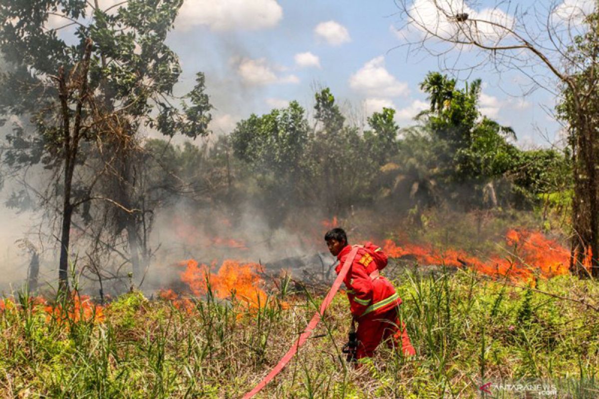 DPKP OKU akan tambah armada pemadam antisipasi kebakaran hutan