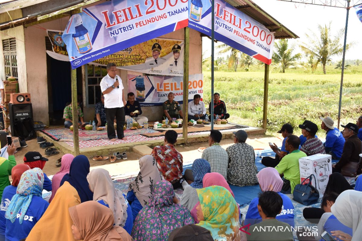 Kubu Raya kembalikan kejayaan beras lokal