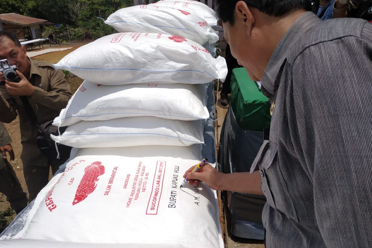 Tepung Tapioka Siluk Berantai masih untuk kebutuhan lokal