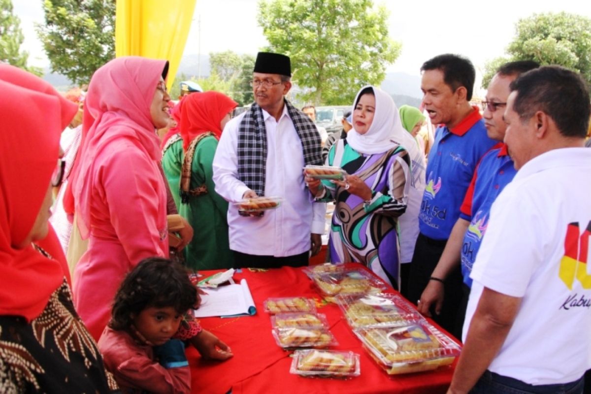 Bupati Solok harapkan Festival Lima Danau tumbuhkan IKM dan UKM