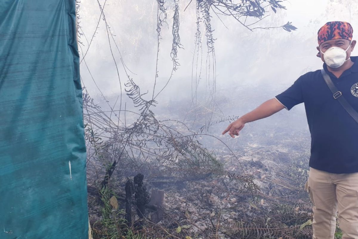 Polresta Pontianak amankan pembakar lahan