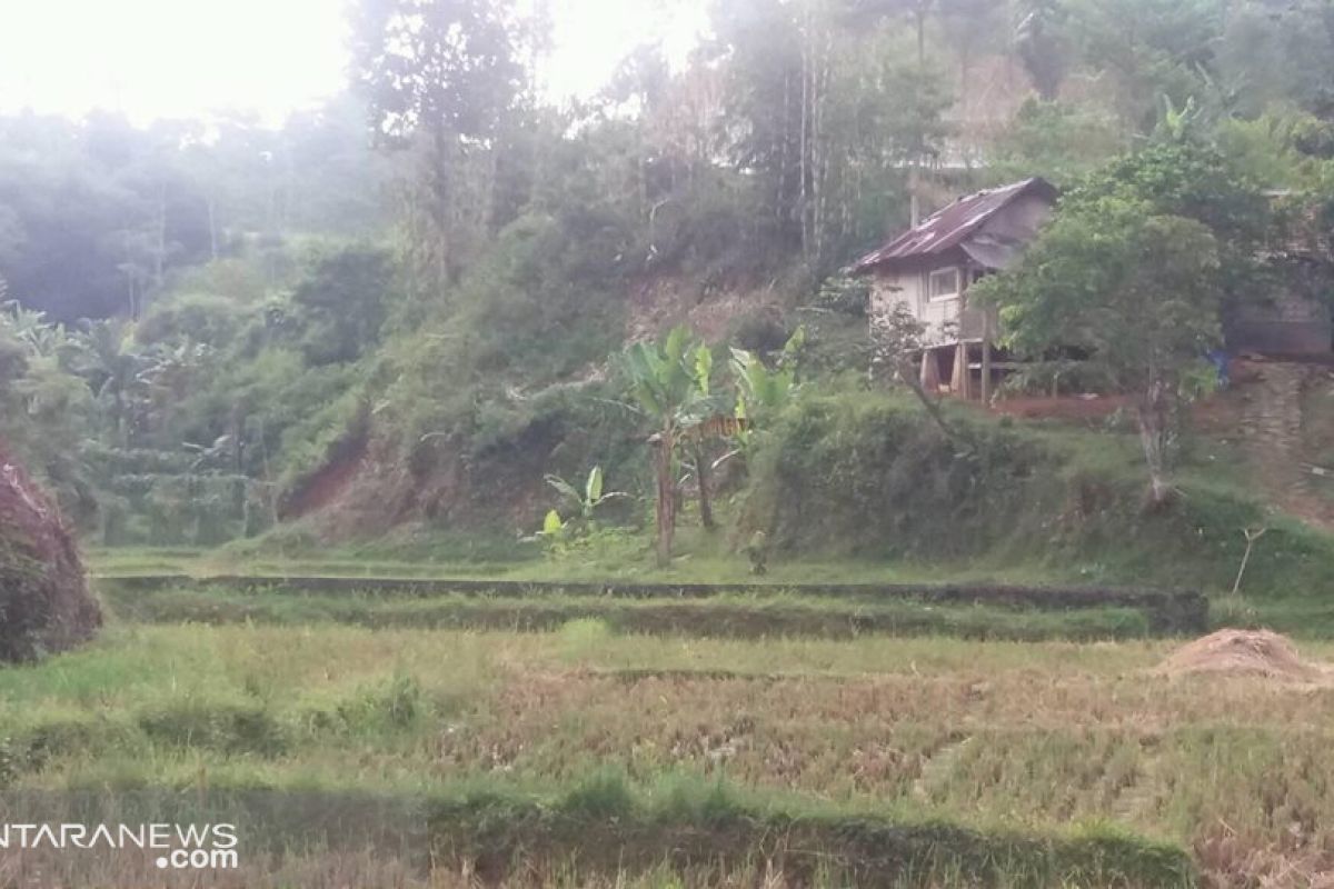 Luas lahan pertanian abadi Kota Sukabumi akan ditambah