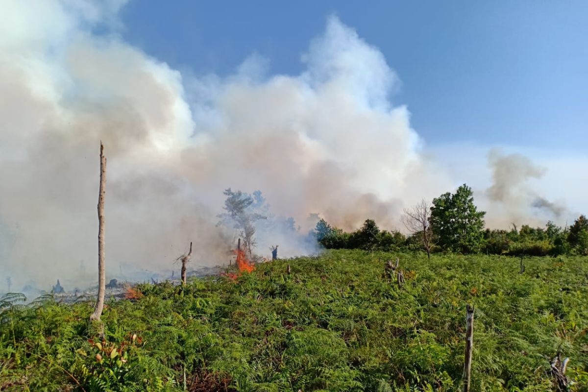 150 hektare lahan gambut di Mempawah terbakar