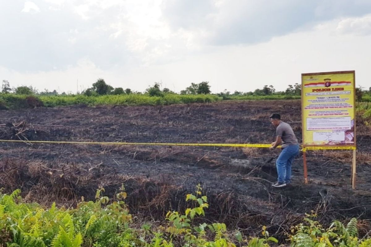 BRG dan KLHK berbagi peran pemulihan gambut di lahan perusahaan