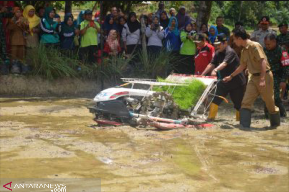 Bupati Sijunjung turun ke sawah petani, uji coba mesin tanam padi