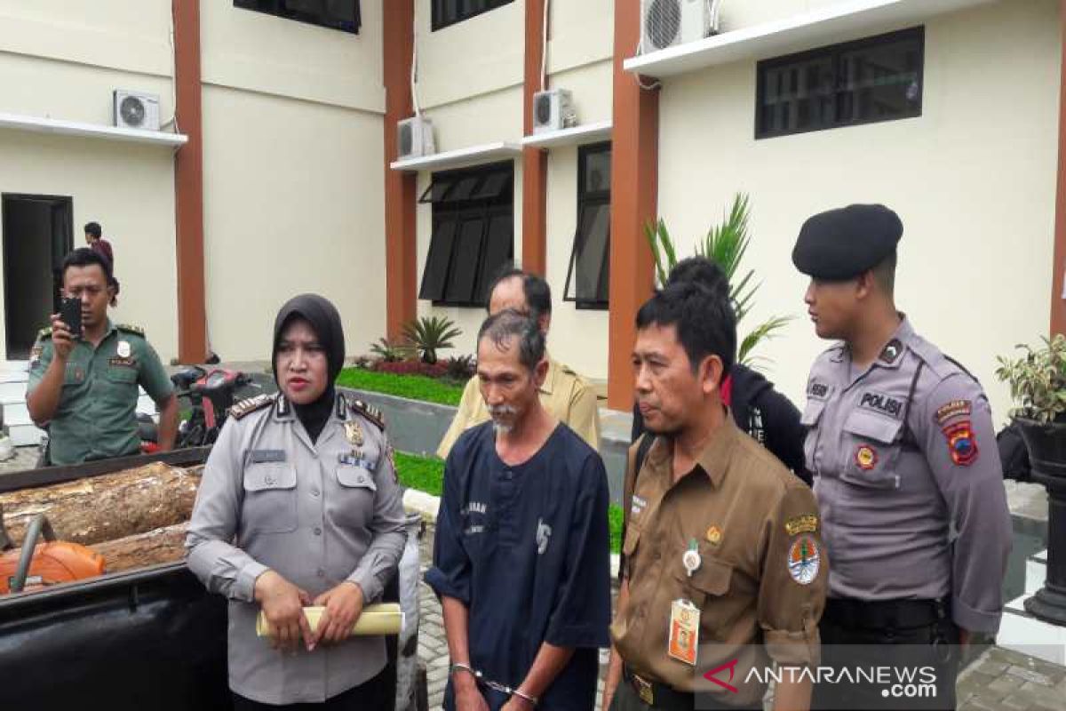 Pencuri kayu Perhutani ditangkap di Temanggung