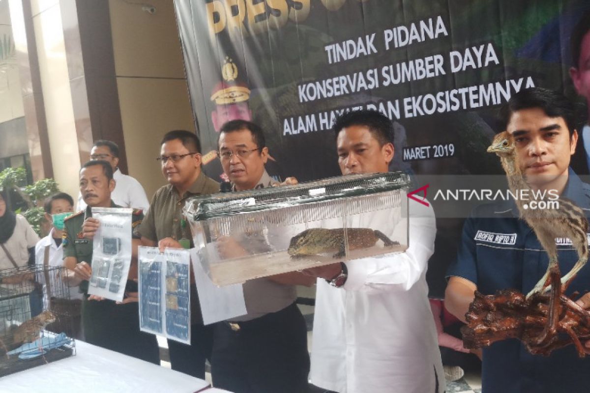 Polda Jatim ungkap perdagangan puluhan satwa dilindungi (Video)