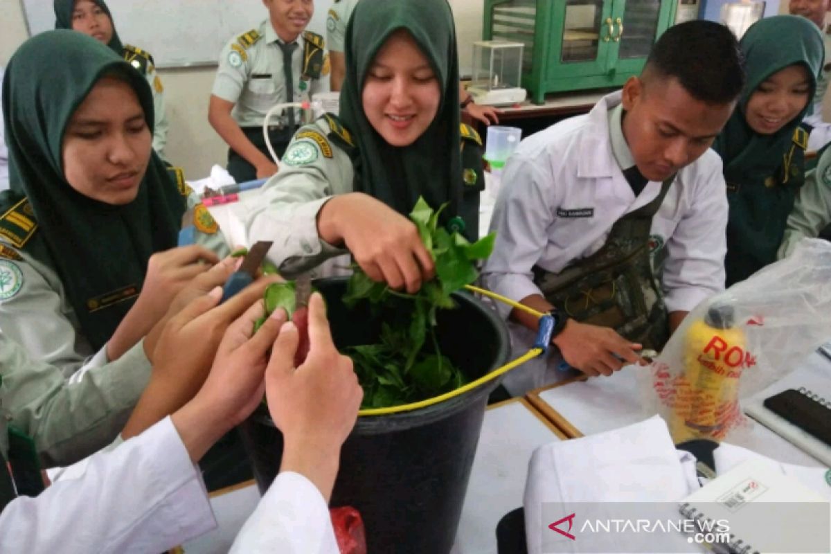 Mahasiswa Polbangtan praktik pembuatan zat perangsang tumbuh