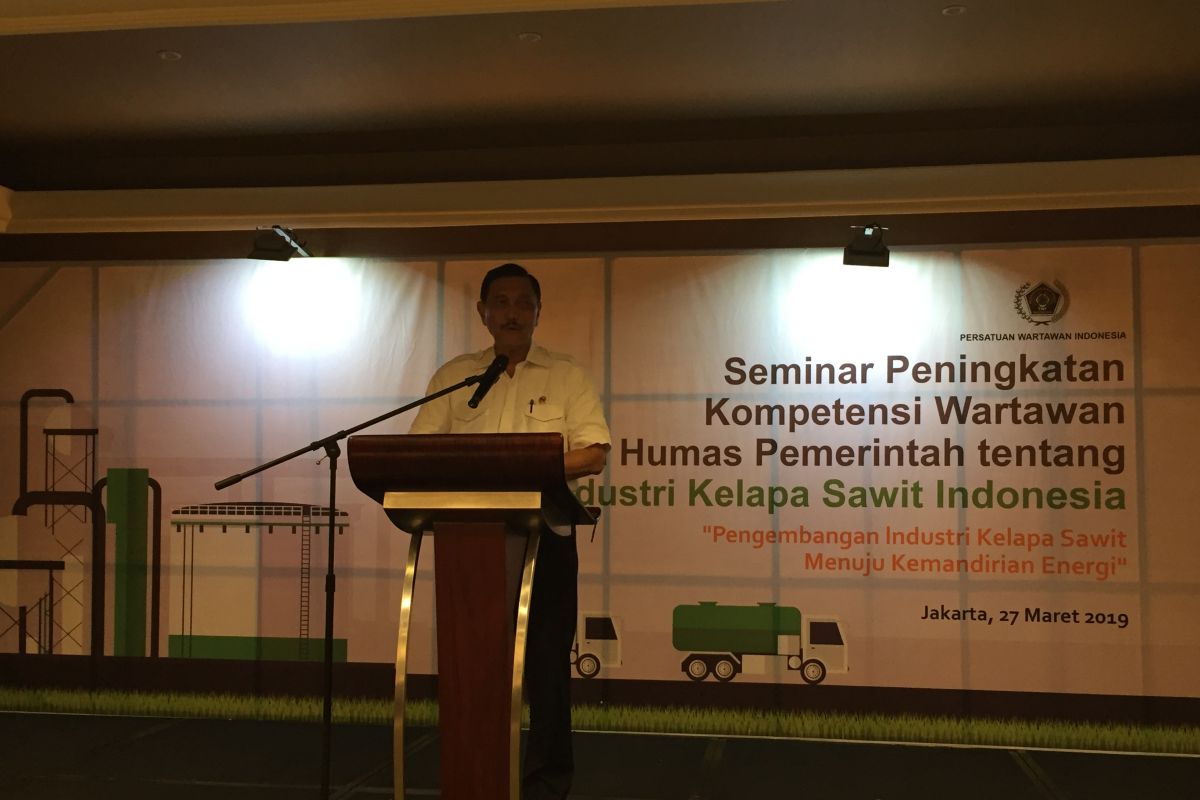 Luhut bantah kelapa sawit penyebab besar deforestasi