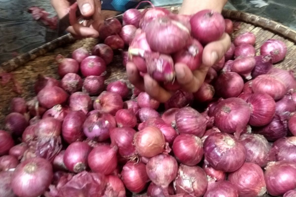 Harga bawang merah di Baturaja turun Rp10.000/Kg