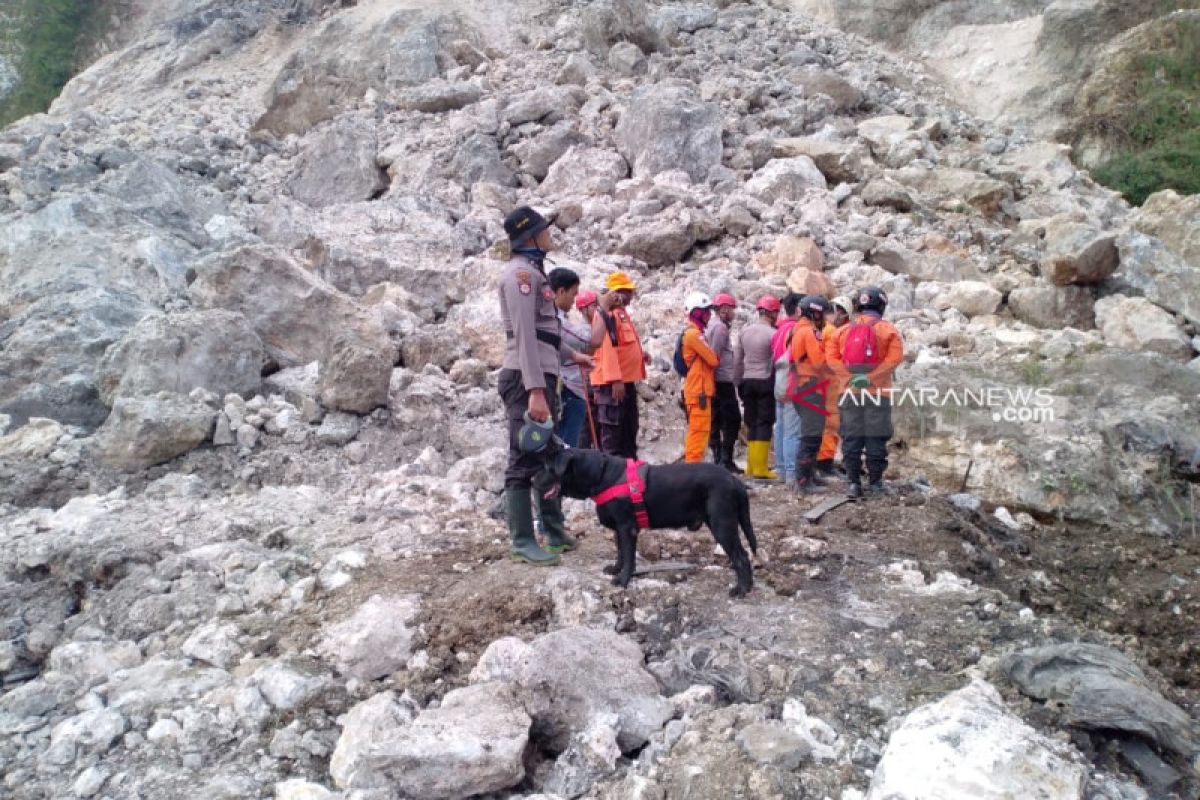 Anjing pelacak diterjunkan cari korban longsor Gunung Kapur Jember