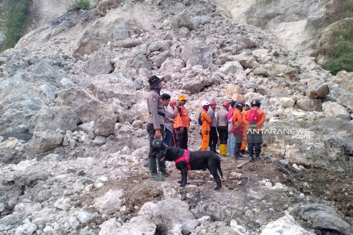 Anjing pelacak diterjunkan cari korban longsor Gunung Kapur di Jember