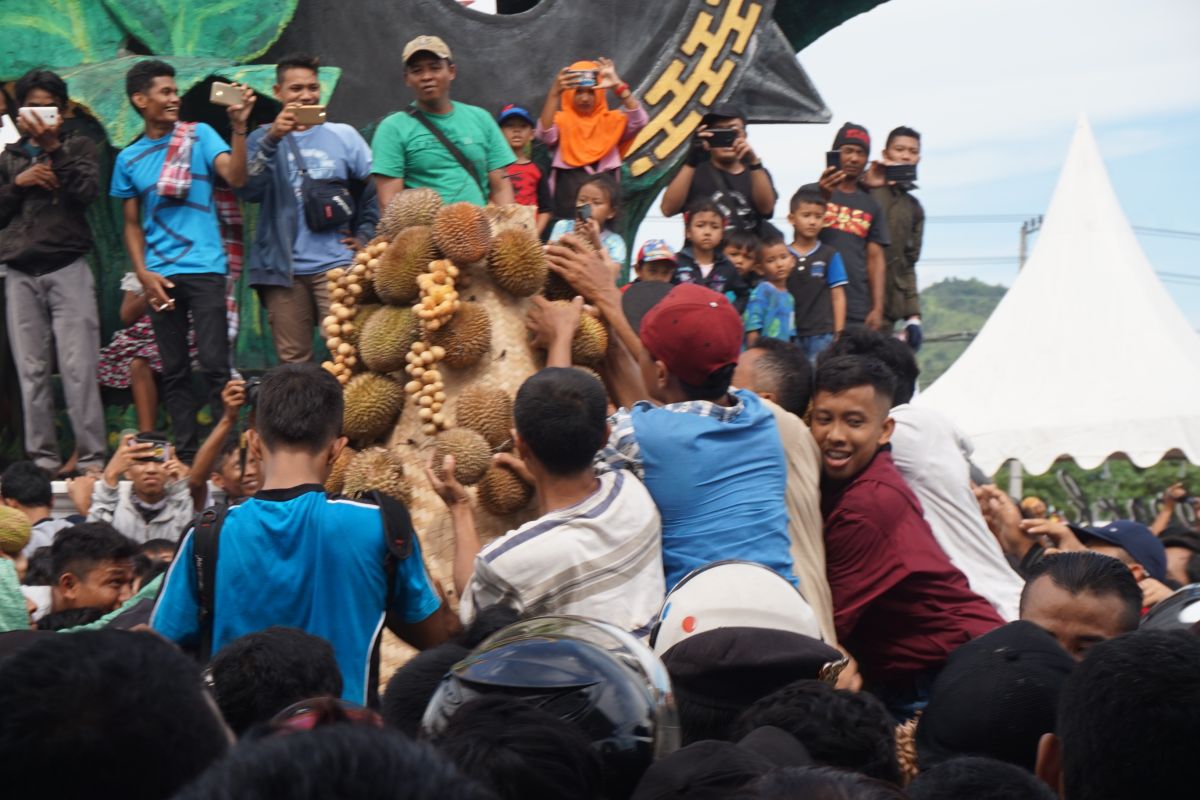 Pemkab Trenggalek gelar kontes dan labuh durian gratis