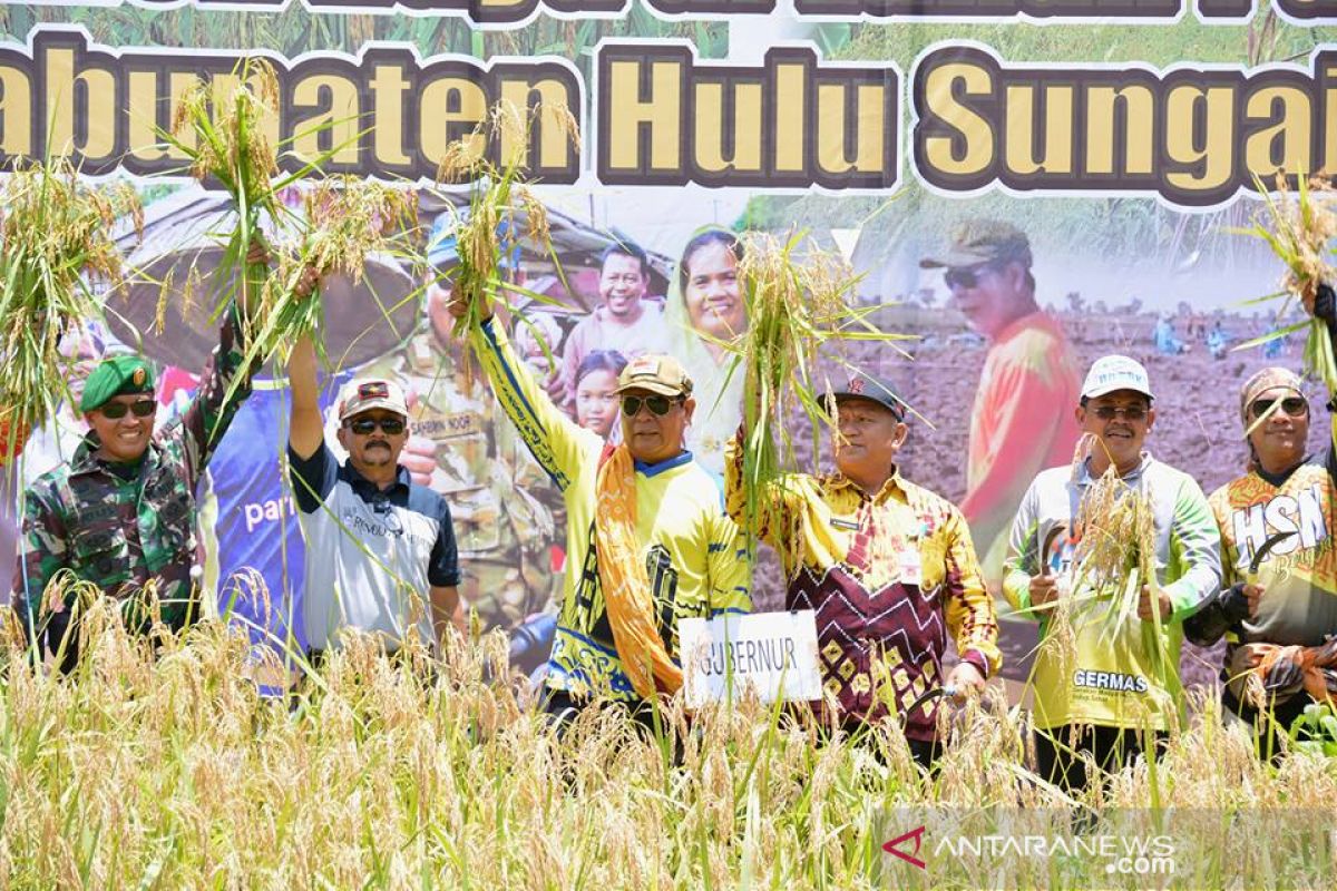 Uncle Birin invites to maintain S Kalimantan as national rice buffer