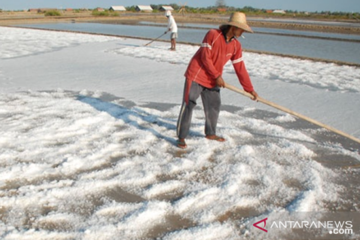 Sebagian produksi garam rakyat Sampang 2018 belum terserap