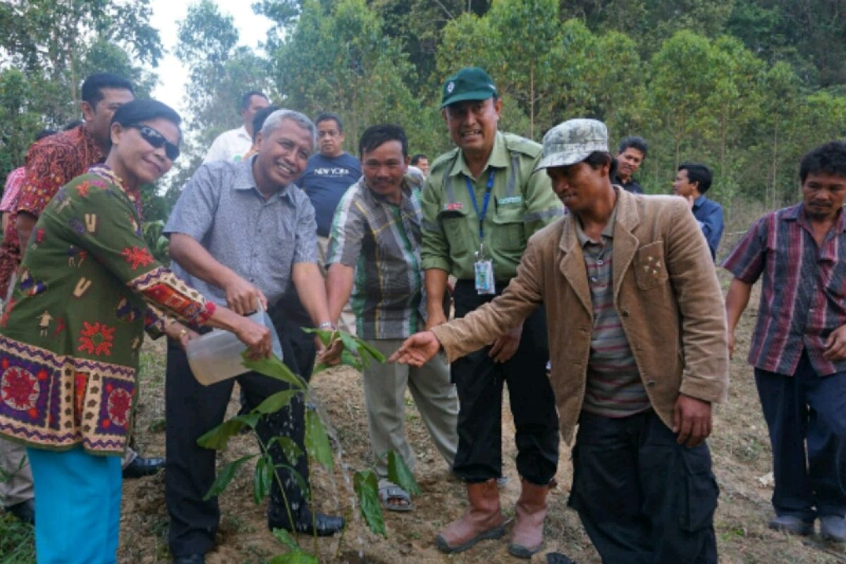 Kementerian LHK tinjau lokasi kerjasama TPL dengan masyarakat di Simalungun
