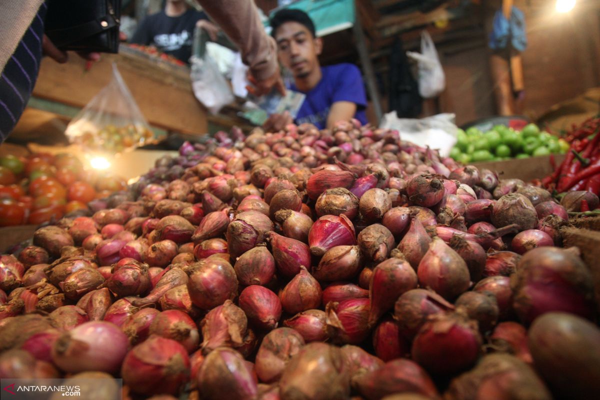 Harga bawang merah di Baturaja tembus Rp50 ribu perkilogram